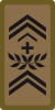 WO-2 - Staff warrant officer