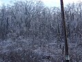 Landscape coated in ice in Dutchess County, New York