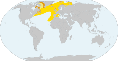 Mapa występowania