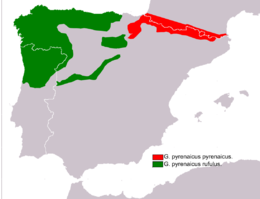 Alfajainak az elterjedési területe