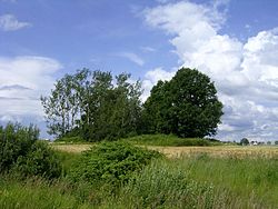 Landscape in Nemansky District