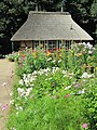 Bauerngarten im Loki-Schmidt-Garten