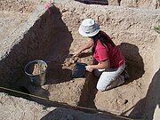 A member of the Southwest Archaeology Team excavates matrix materials from a test pit.