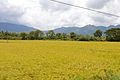 Landschaft bei Kuttralam