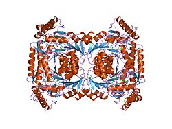 5-Aminolävulinatsynthase, unspezifische