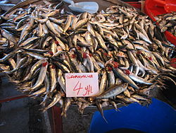 Göçü boyunca İstanbul Boğazı'nı kullanan balıklardan, sardalya