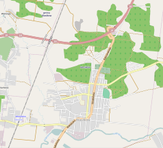 Mapa konturowa Wasilkowa, blisko centrum na dole znajduje się punkt z opisem „Parafia pw. Przemienienia Pańskiego w Wasilkowie”