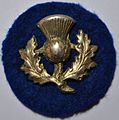 9th (Scottish) Division[10]