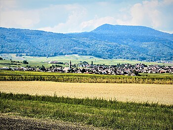 Bennwihr, von Houssen aus gesehen. Die Lage Marckrain befindet sich auf der linken Seite der Kirche und steigt bis zum Soldatenfriedhof hoch.