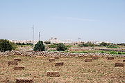 Dingli 27. Mai 2009