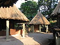 Hamadryas Baboons Village, Singapore Zoo