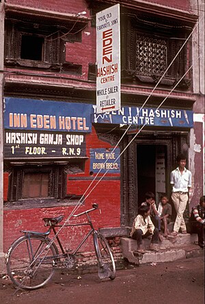 Katmandu'da Eden Hashish Center
