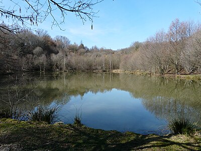 Weiher von Moulin du Chatain