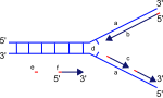 Nytt SVG-bilde