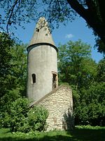 Baum- und Strauchgruppe an der Berger Warte