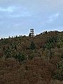 Turm von Beringen aus gesehen