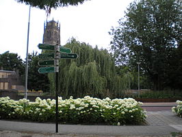 De Boschstraat met op de achtergrond de Sint Maartenskerk