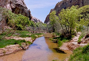 Calf Creek im Canyon