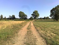 An unpaved road in Cierpiatka