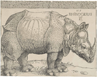 „Rhinocerus“ von Albrecht Dürer aus dem Jahre 1515