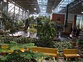 Devonian Gardens, Calgary