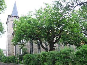 St Martini Church in Dransfeld.