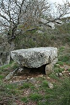 Dolmen du Devès de Félines