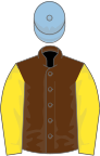 Brown, yellow sleeves, light blue cap