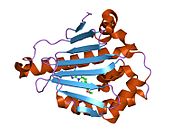 1uye: HUMAN HSP90-ALPHA WITH 8-(2-CHLORO-3,4,5-TRIMETHOXY-BENZYL) -9-PENT-4-YLNYL-9H-PURIN-6-YLAMINE