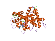 2h77: Crystal structure of human TR alpha bound T3 in monoclinic space group