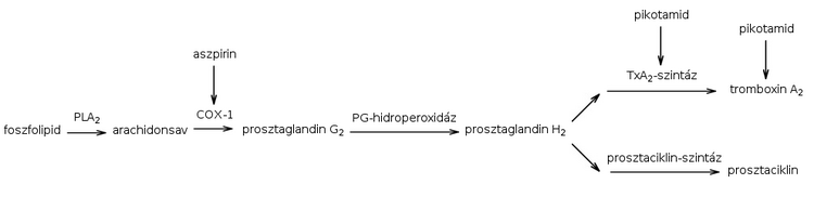 A pikotamid és az aszpirin támadáspontja