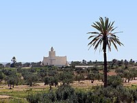 Djerba: Zeugnis einer Siedlungslandschaft in einem Inselgebiet