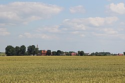 General view of Strzeganowice