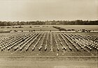 Studenten bei Freiübungen anlässlich der Einweihung des Hochschulsportplatzes bei Freimann (heute Areal der Studentenstadt Freimann) (27. Juni 1928)