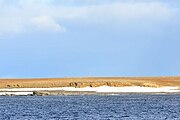 Barents Bay (Willem Barents' gravesite; 76°27′N 68°42′E﻿ / ﻿76.450°N 68.700°E﻿ / 76.450; 68.700)