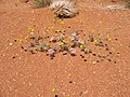 Koichab, Namibia