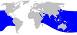 Ginkgo-toothed beaked whale range