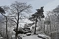 Top van de Drachenfels, hoogste berg van Bad Dürkheim, ten westen van de stad