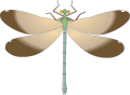 Svg drawing of dragonfly