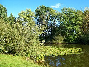 Leijpark, Tilburg