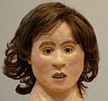 Facial reconstruction with brown hair