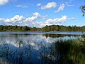 Näkijärv