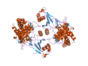 2ckq: CRYSTAL STRUCTURE OF HUMAN CHOLINE KINASE ALPHA 2 IN COMPLEX WITH PHOSPHOCHOLINE