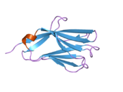 2nms: The Crystal Structure of the Extracellular Domain of the Inhibitor Receptor Expressed on Myeloid Cells IREM-1