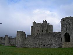 Trim Castle featuring the keep, curtain wall and barbican