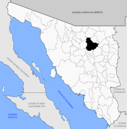 Location of the municipality in Sonora