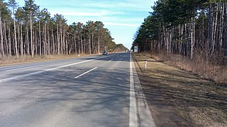 Die B 17 im Föhrenwald bei Breitenau zwischen Neunkirchen und Wiener Neustadt