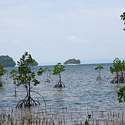 Blick von der Küste auf Boslon Island