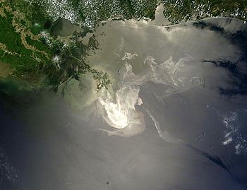 Deepwater Horizon oil spill