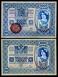 1,000 Korona (1920, using a 1902 base note)